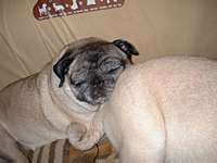 ＺＺＺ